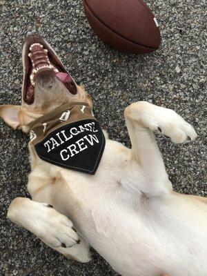 Joy Organics- Wichita