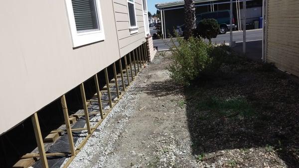 On The Green Landscape