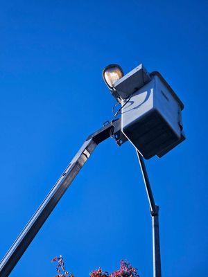 Illumination Management Services