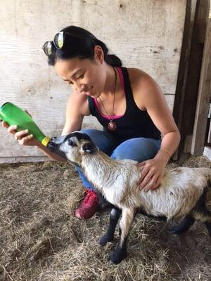 Good Earth Organic Farm