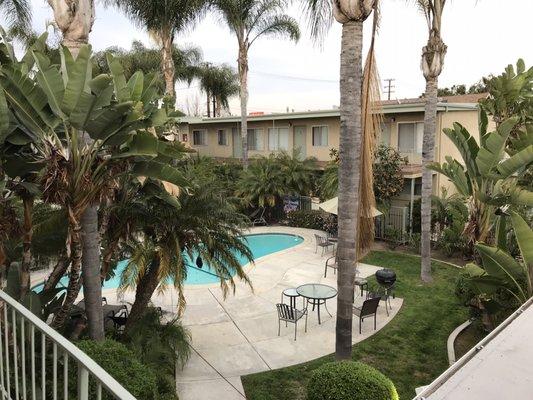 Commonwealth Apartments