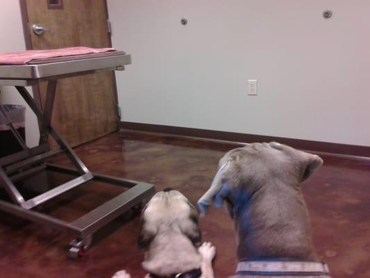 Rankin Animal Clinic