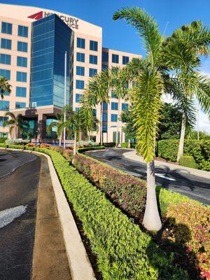 Nelson Fields Consulting Group