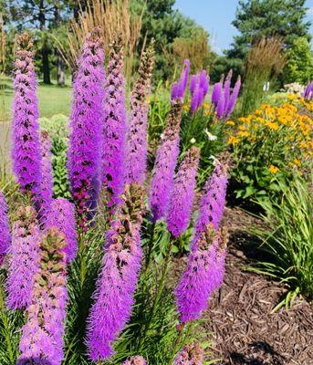 Oneka Ridge Golf Course