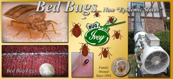Ivey Exterminating