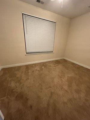 Heavenly Clean Sweepers