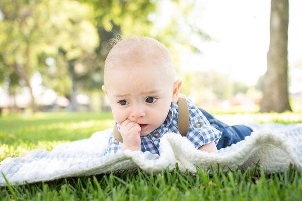 Aurora Snaps Photography