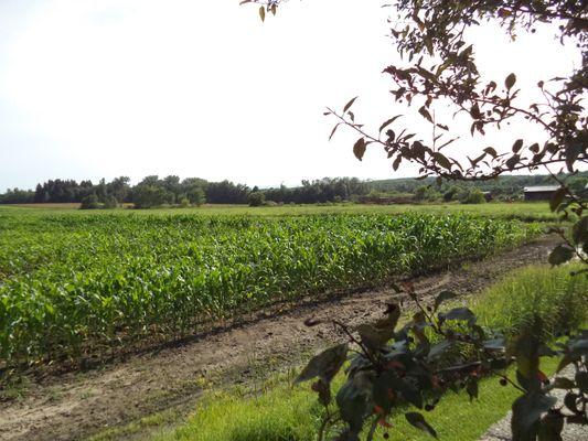15 juillet 2023 à 16h28 / Depuis notre table de pique-nique