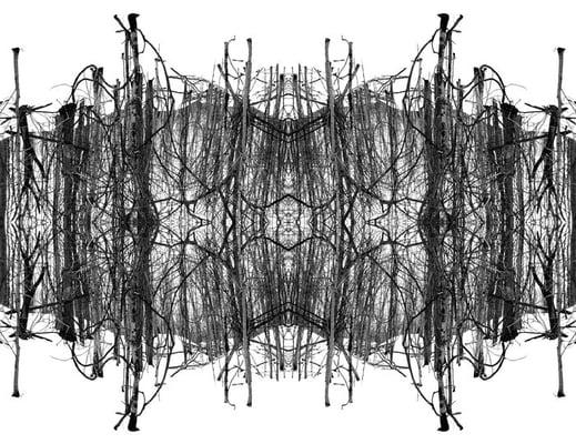 Wug Laku's Studio & Garage