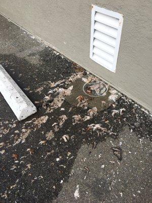 Woodland Garden Apartments