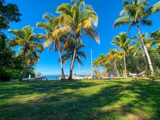 Amy Prumo - Coldwell Banker