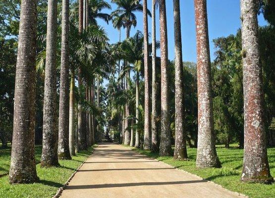 Kirkland's Tree Service