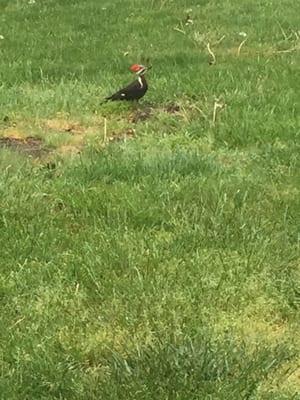 Samantha's Family Child Care