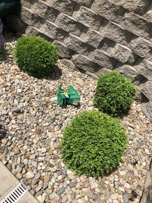 Hernandez home improvements