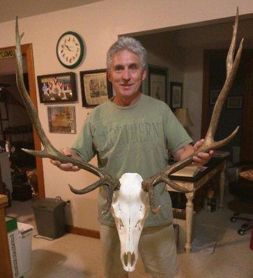 Mile High Taxidermy