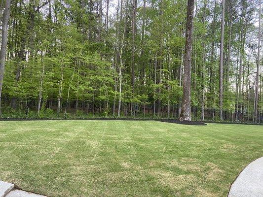 G&M landscaping service