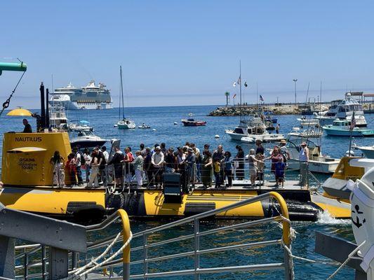 Catalina Adventure Tours