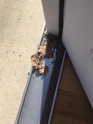 Great Lakes Lawn & Landscapes