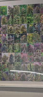 Thrive Cannabis Marketplace