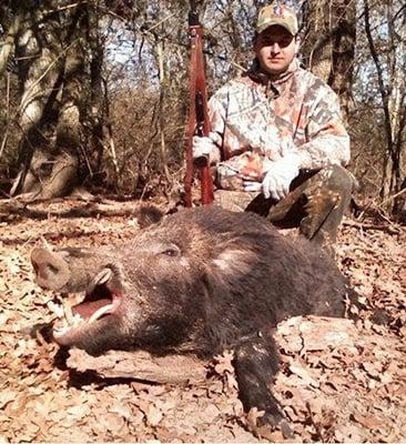 Big Bad Boar Hunts
