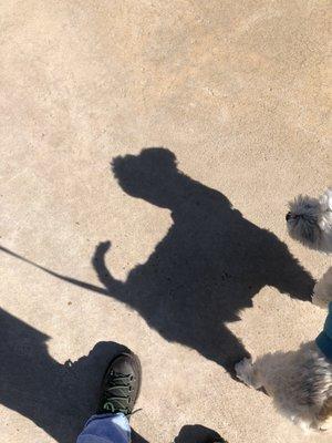 Spike's Desert Dog Park