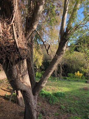 John L Carter Memorial Park