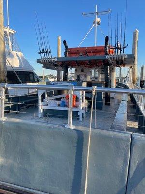 Albatross Fishing and Sunset Cruise