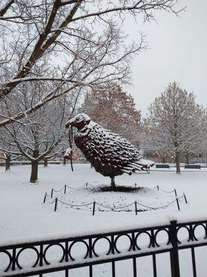 Michigan State University Pavillion