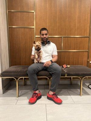 Manhattan 24/7 canine walking service