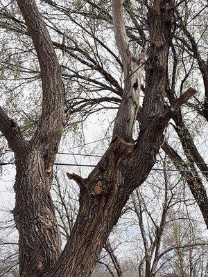 Happy Hands Yard Service