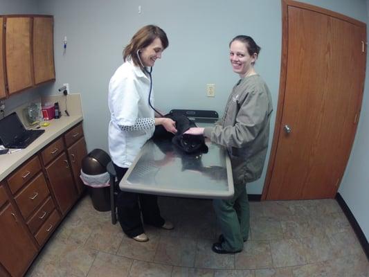 Prairie View Animal Hospital
