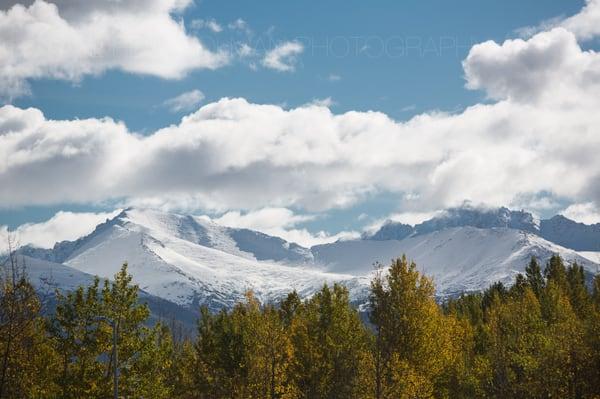 view from Harvard Park in the fall, not too bad!