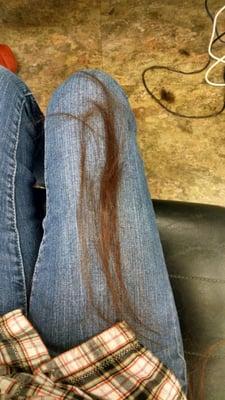 The 12" Katy cut in order to cut my bangs.