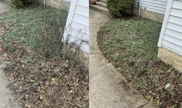 Pat’s Grass & More