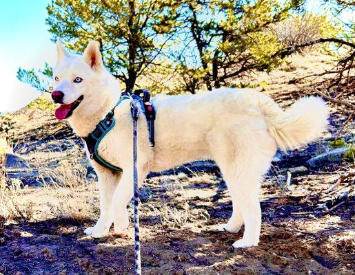 McCluskey Tom Photography