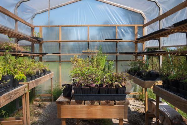 Willowsford Conservancy