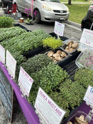 Finally found a farmers market that sells micro greens! My fav!