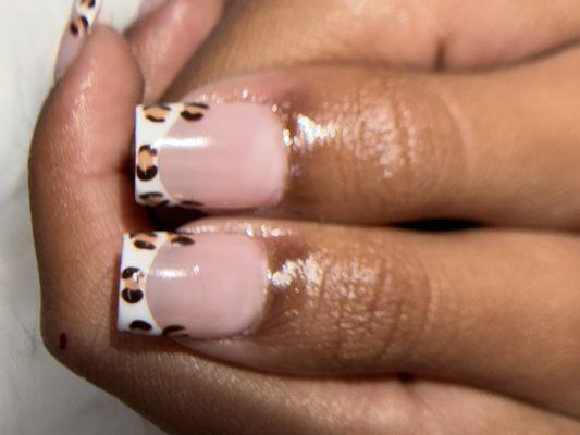 Cheetah inspired gelx set