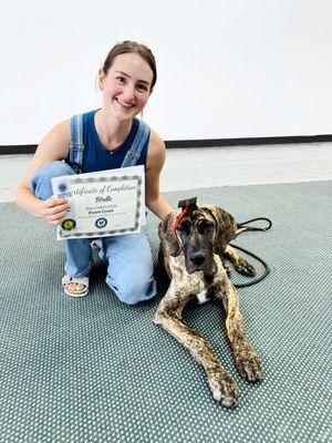 All Breed Dog Obedience Training