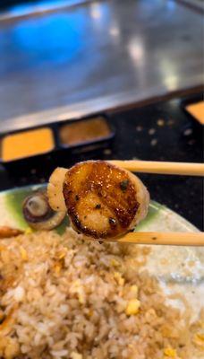 Kobe Steak & Sushi Hibachi Grill & Bar