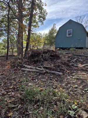 Tactical Tree Snow And Landscaping Services