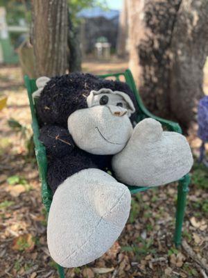 Suncoast Primate Sanctuary Foundation