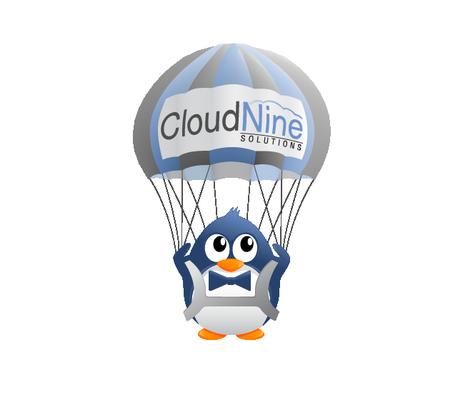 Cloud Nine Solutions