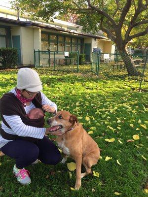 Duveneck Elementary School