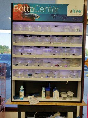 Concord Pet Foods and Supplies