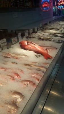 King Fish Market