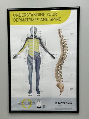 Ascend Pain And Wellness