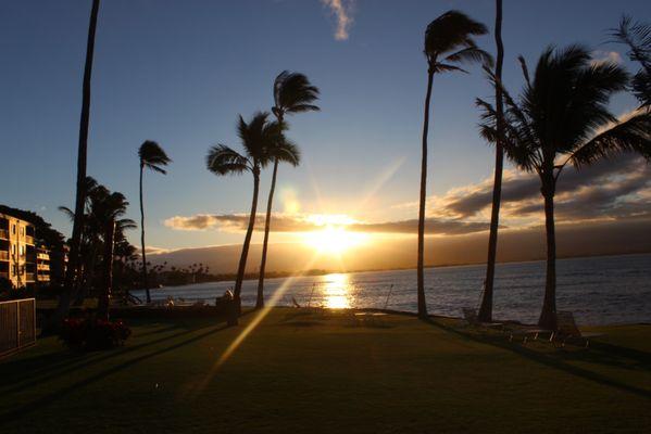 Overall view a pay 20 steps away from patio area.