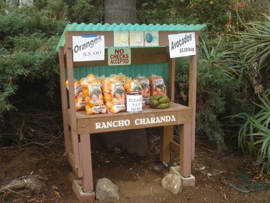 Brian's Self Serve Fruit Stand