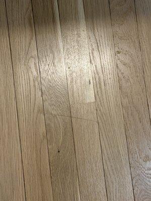 Blue Star Paint & Property Services